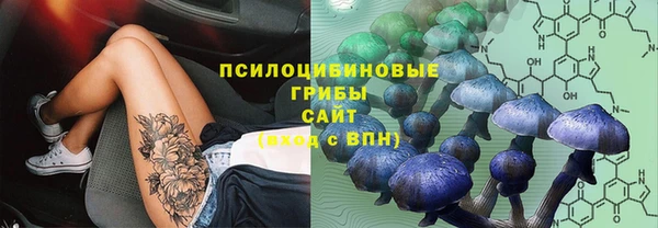 гашик Белокуриха