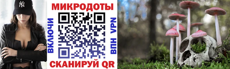 Галлюциногенные грибы Cubensis дарк нет Telegram Славянск-на-Кубани