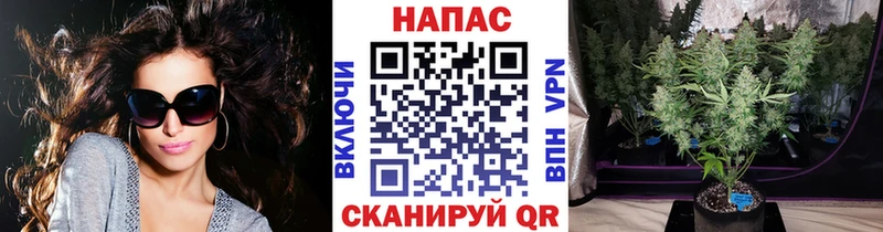 Бошки Шишки Amnesia  наркотики  Славянск-на-Кубани 
